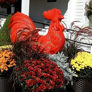 Meet your Posher, Sharon